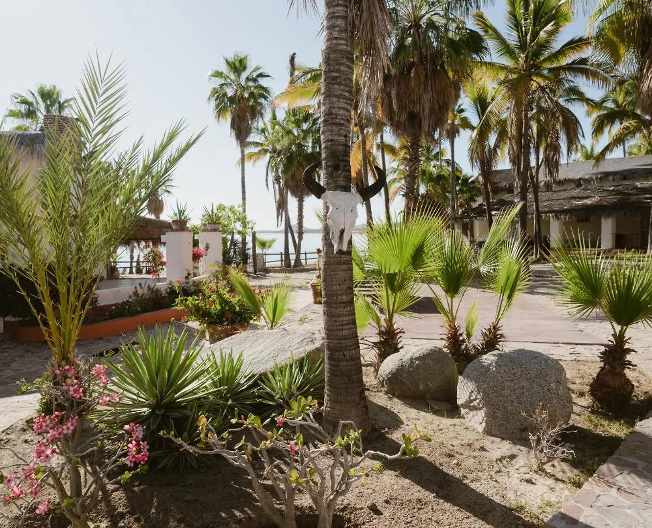 Hotel Rancho Buenavista Cabo San Lucas México