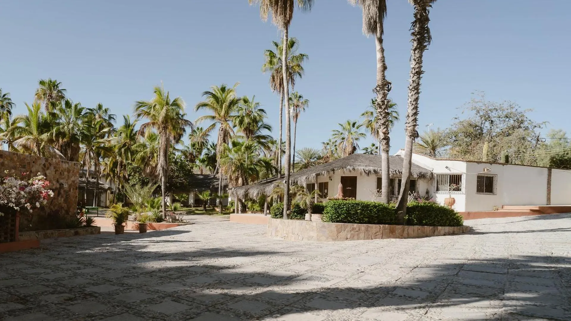 Hotel Rancho Buenavista Cabo San Lucas