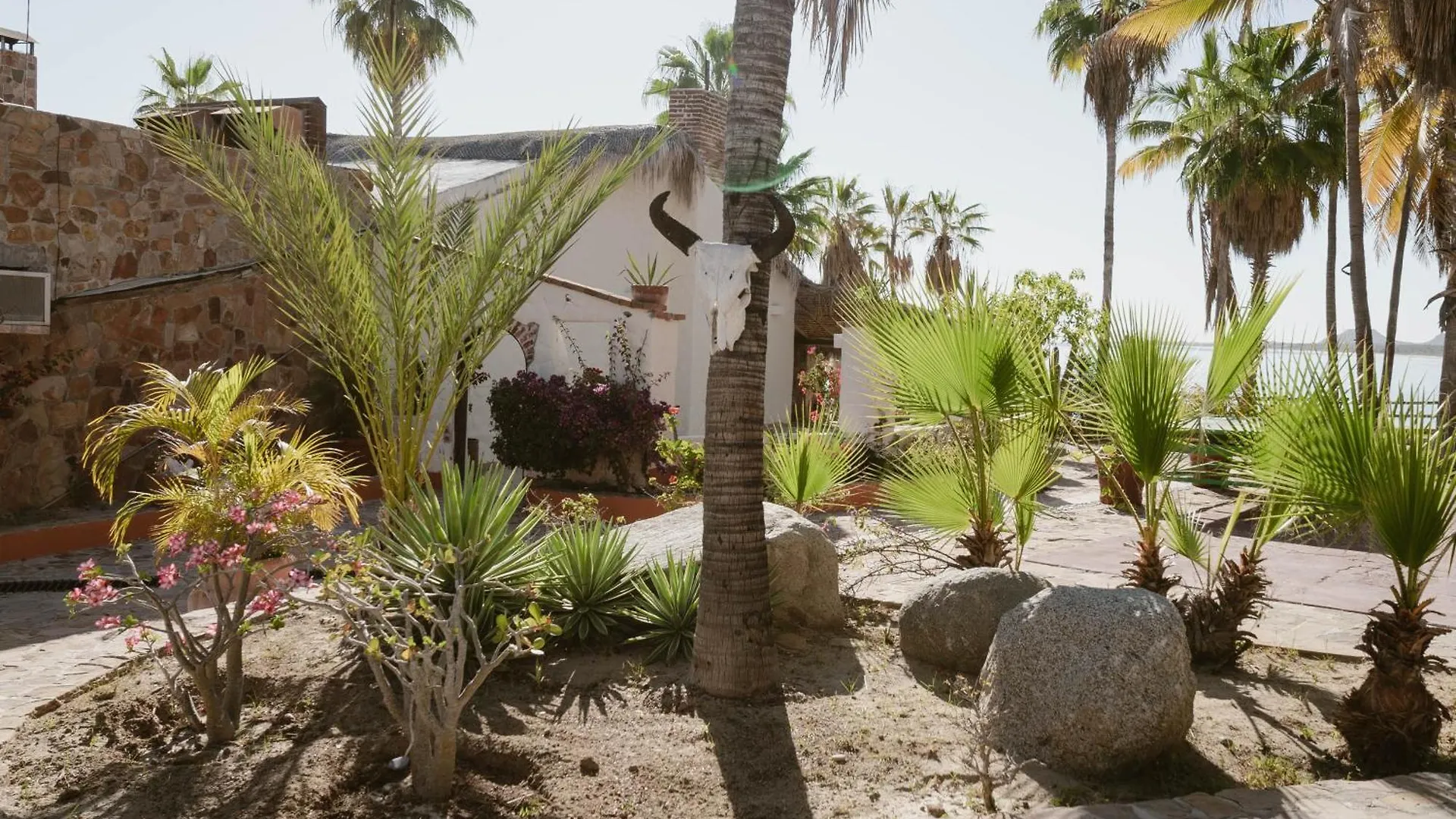 ***  Hotel Rancho Buenavista Cabo San Lucas México